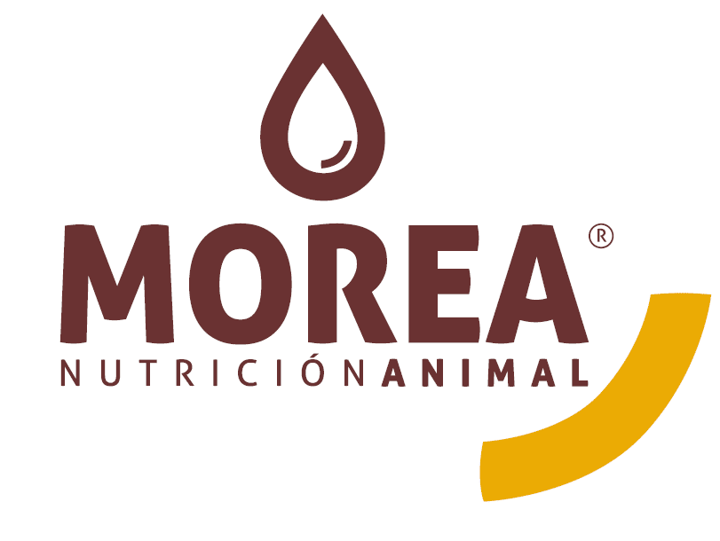 Morea Nutricion animal